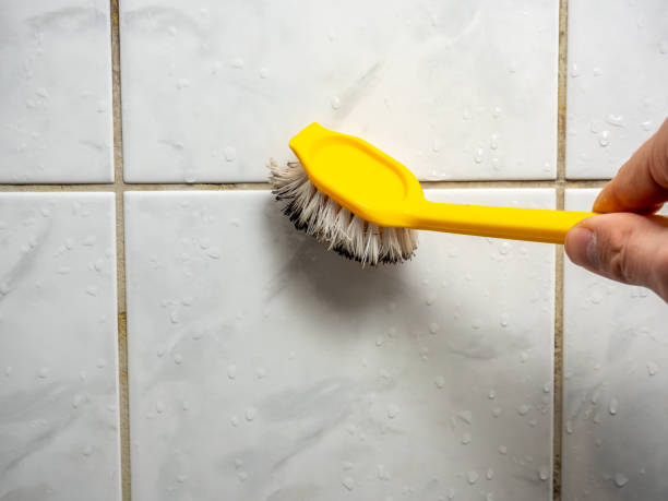 Best Office Mold Removal Services  in Mford, IL