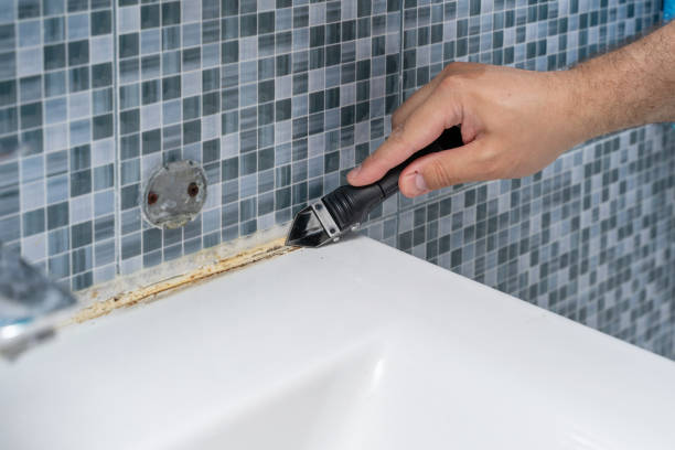 Best Toxic Mold Removal  in Mford, IL
